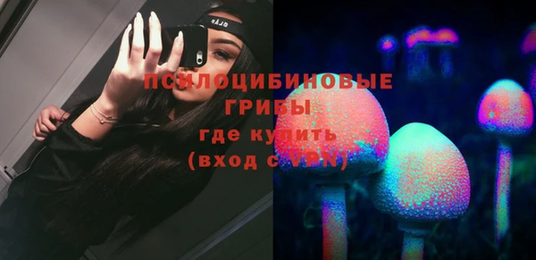 PSILOCYBIN Алексин