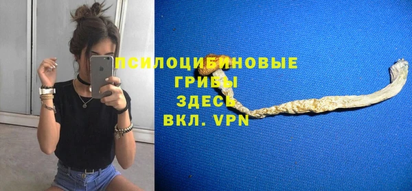 PSILOCYBIN Алексин