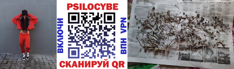 Псилоцибиновые грибы мицелий  сколько стоит  Сухой Лог 